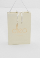Пакет подарочный бумажный бренда CLEO