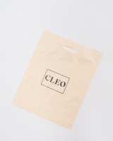 Пакет подарочный бренда CLEO 40*50 см
